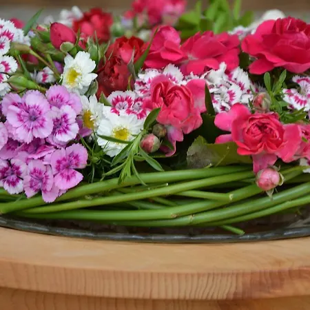 酒店 Rissbacher 3*