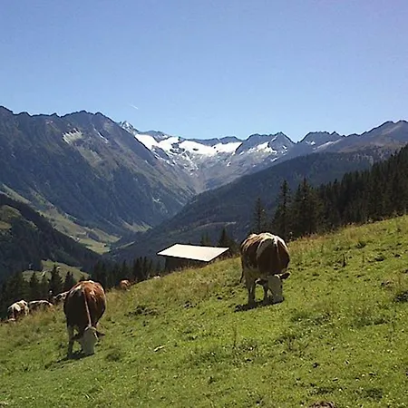 Rissbacher 酒店 斯达姆