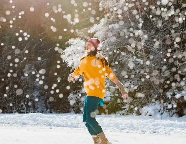 Rissbacher فندق 3*