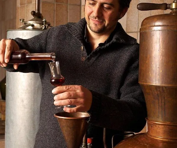 Rissbacher فندق 3*