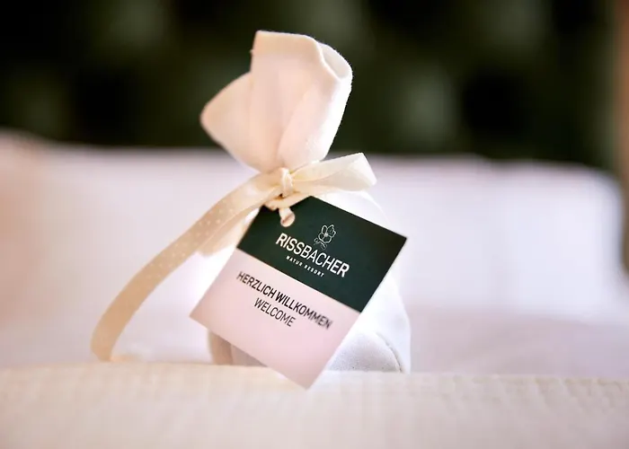 فندق Rissbacher