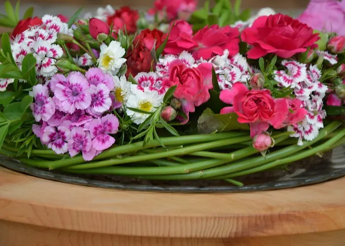 فندق Rissbacher 3*