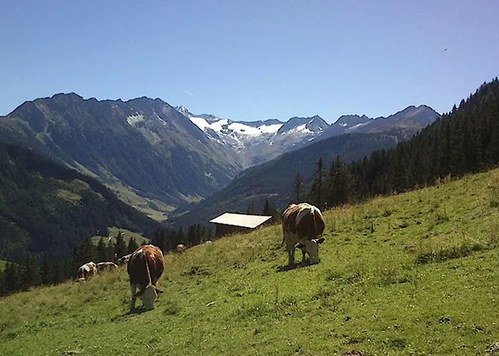 Rissbacher فندق ستام