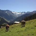 Rissbacher Отель Штумм