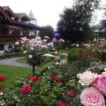 Rissbacher Штумм